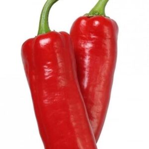 Ớt đỏ